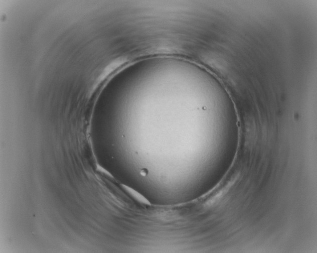 X0000065241170200602242017