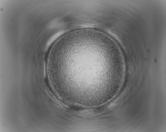 X0000065241171200602242017