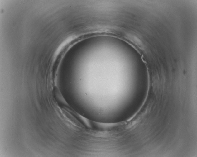 X0000065241172200602242017