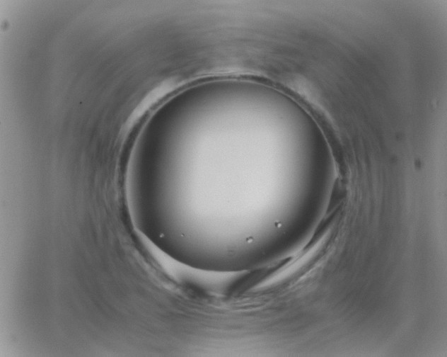 X0000065241173200602242017