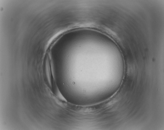 X0000065241174200602242017