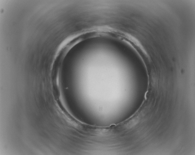 X0000065241176200602242017