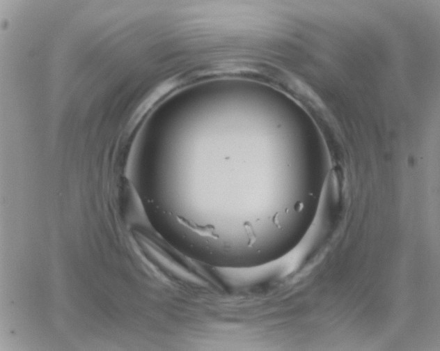 X0000065241177200602242017