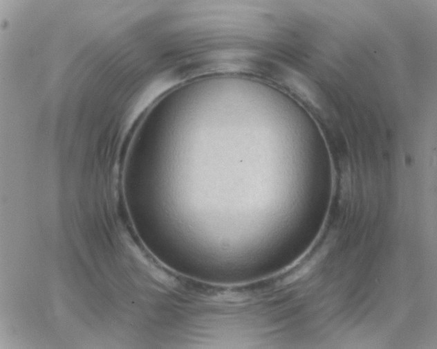 X0000065241178200602242017