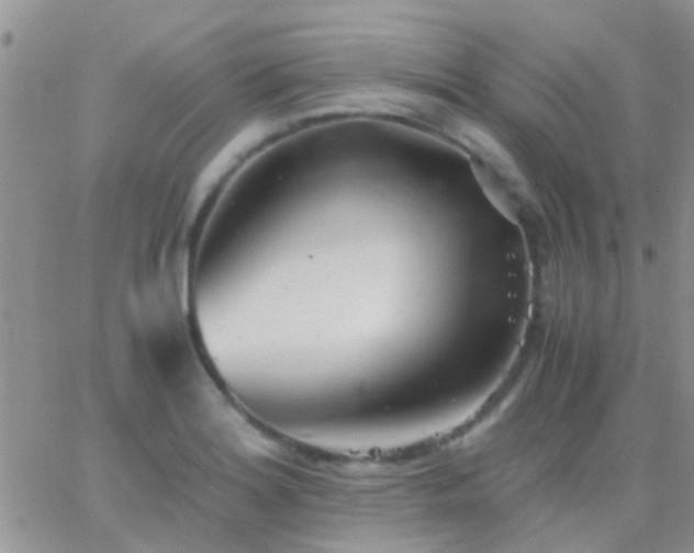 X0000065241180200602242017