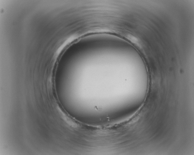 X0000065241181200602242017