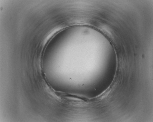 X0000065241182200602242017