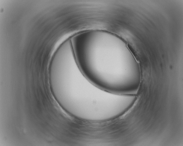 X0000065241184200602242017