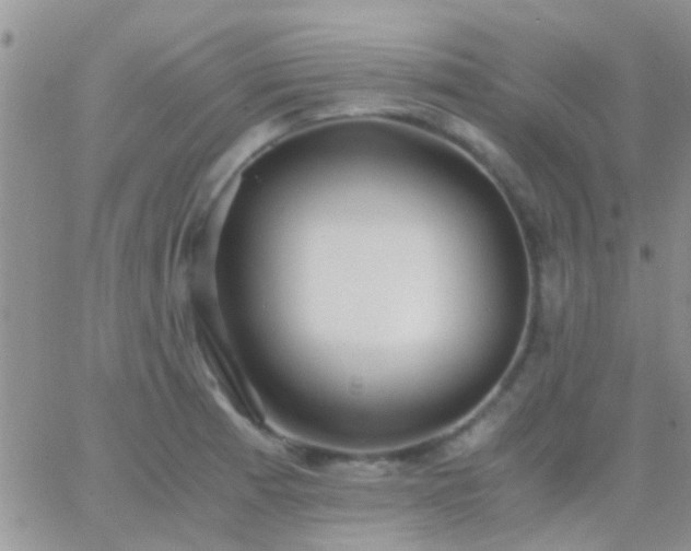 X0000065241185200602242017