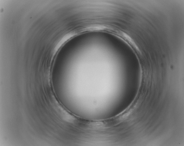 X0000065241186200602242017