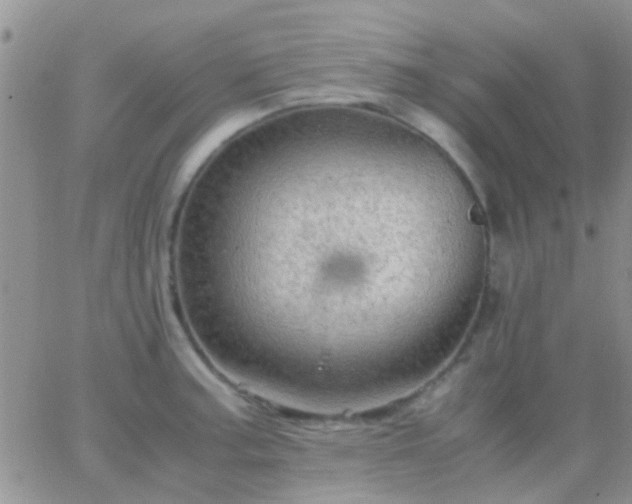 X0000065241187200602242017