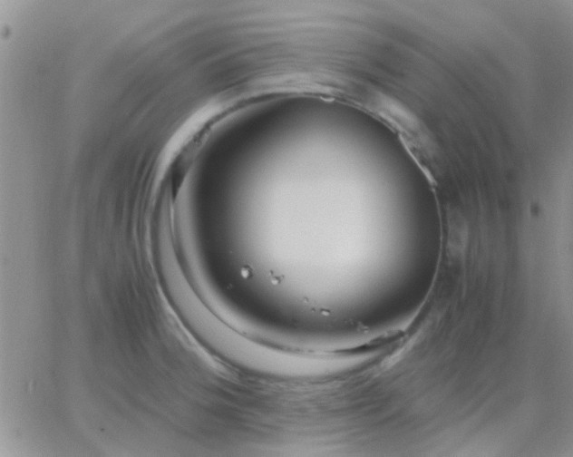 X0000065241188200602242017