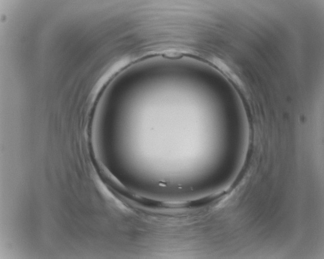 X0000065241189200602242017