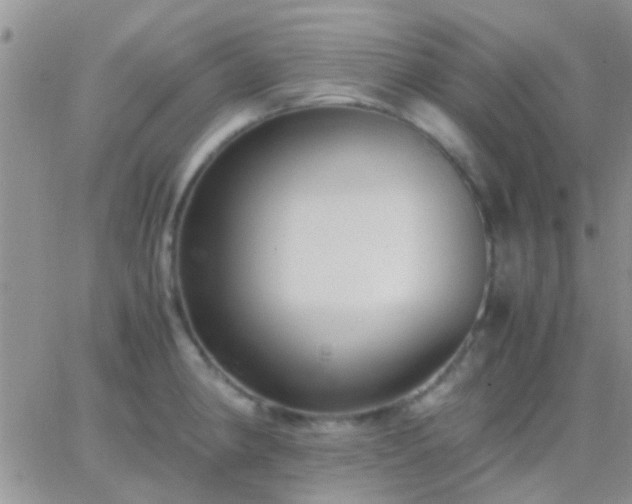 X0000065241190200602242017