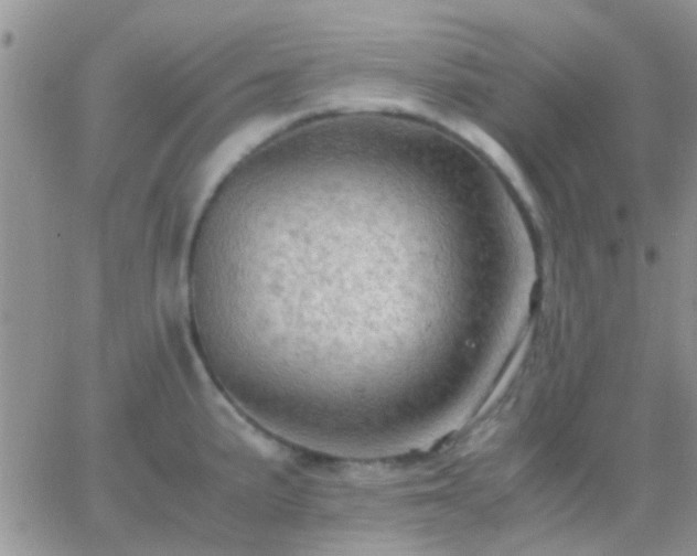 X0000065241191200602242017