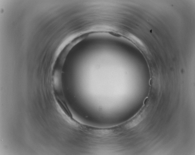 X0000065241192200602242017