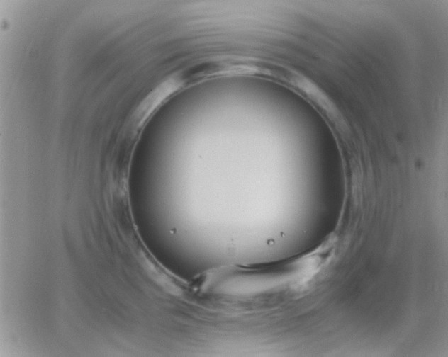 X0000065241193200602242017