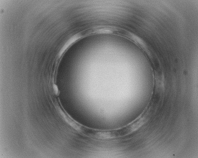 X0000065241194200602242017