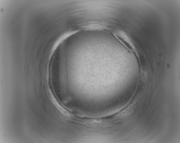 X0000065241195200602242017