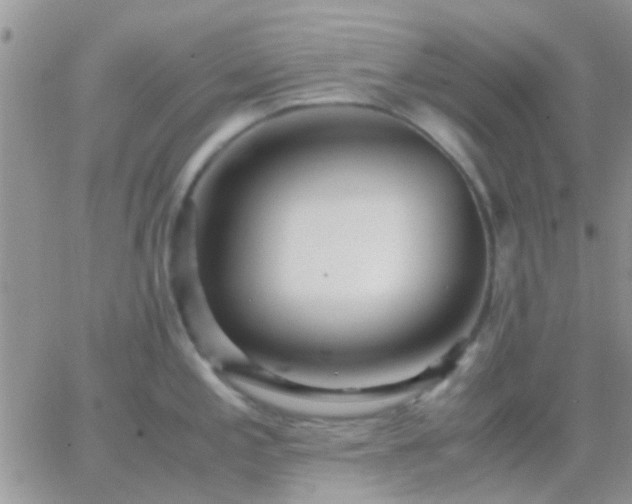 X0000065241197200602242017