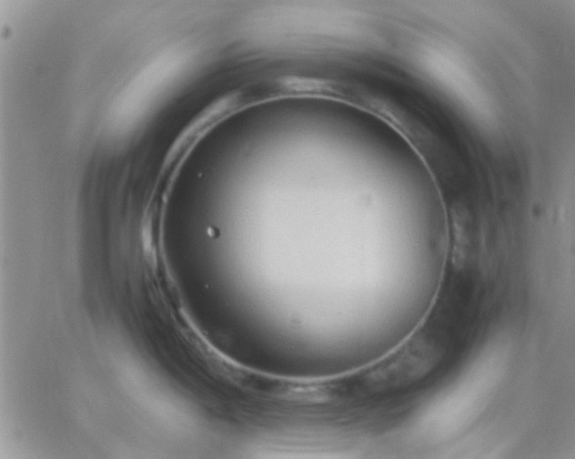 X0000065241198200602242017