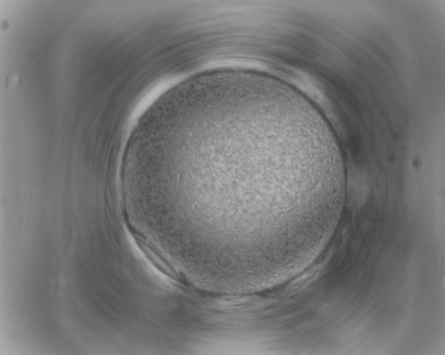 X0000065241199200602242017