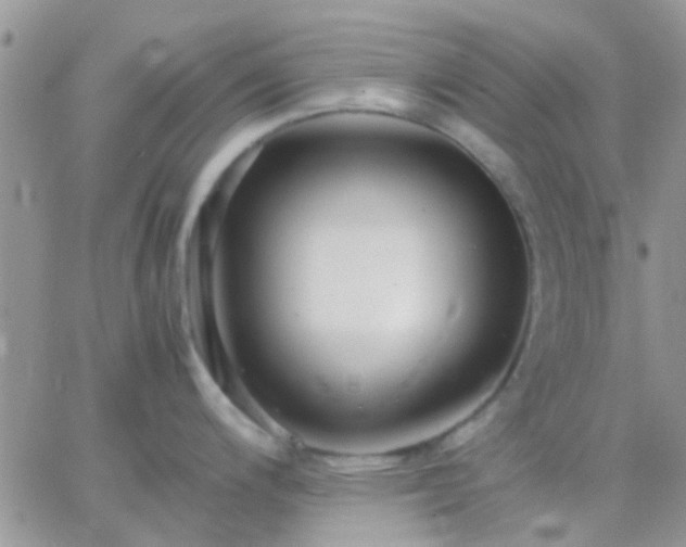 X0000065241200200602242017