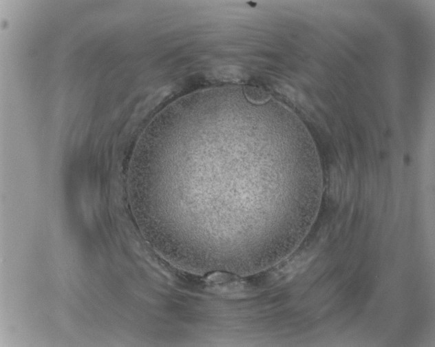 X0000065241201200602242016