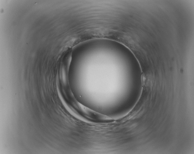 X0000065241202200602242016