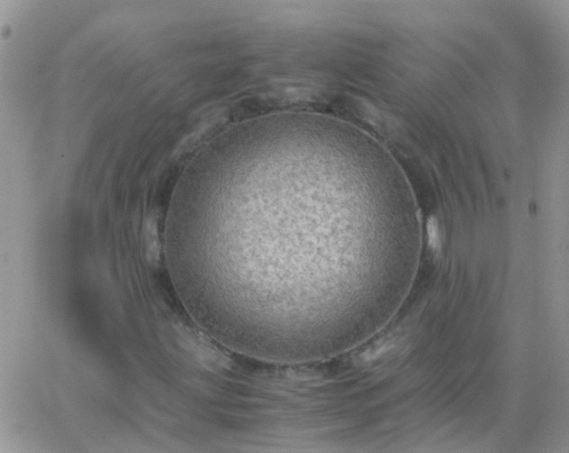 X0000065241203200602242016