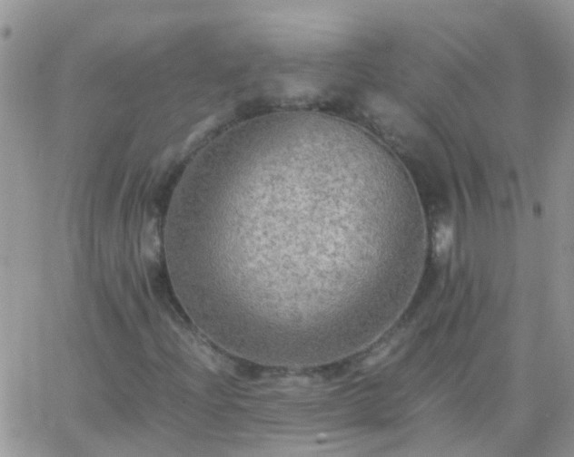 X0000065241204200602242016