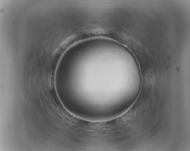 X0000065241205200602242016