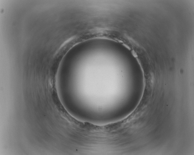 X0000065241206200602242016