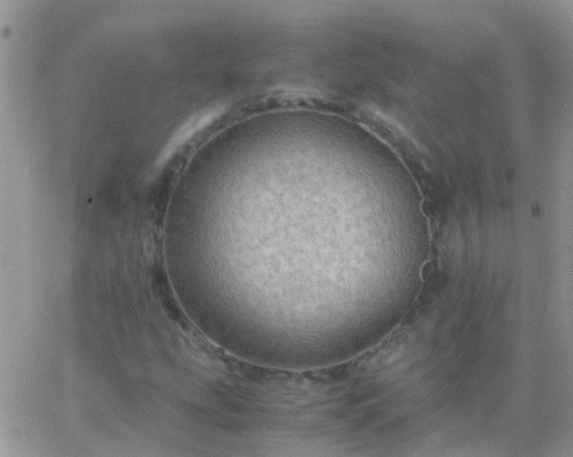 X0000065241207200602242016