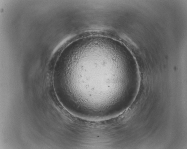 X0000065241208200602242016