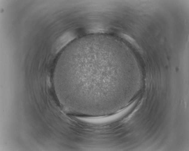 X0000065241209200602242016