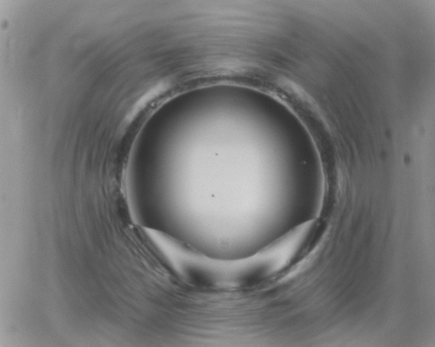 X0000065241210200602242016