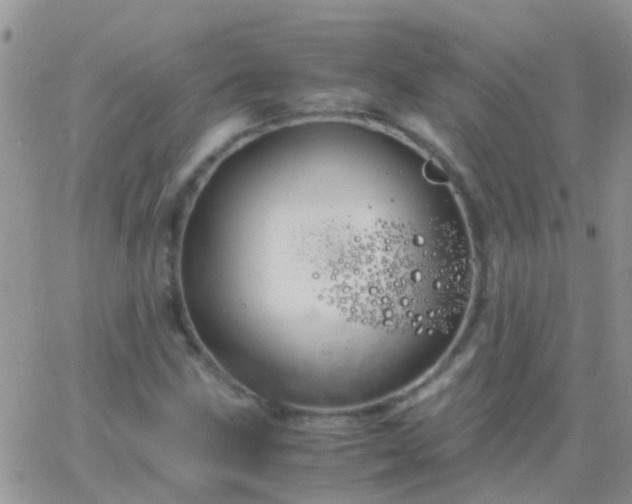 X0000065241211200602242016