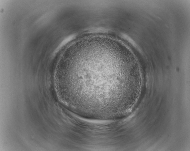 X0000065241213200602242016