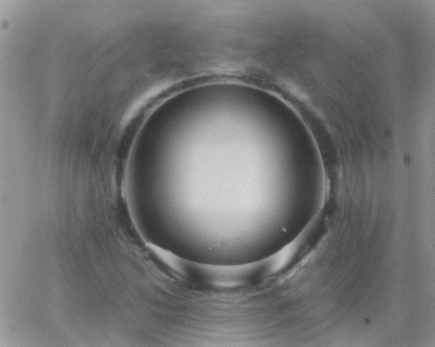 X0000065241214200602242016