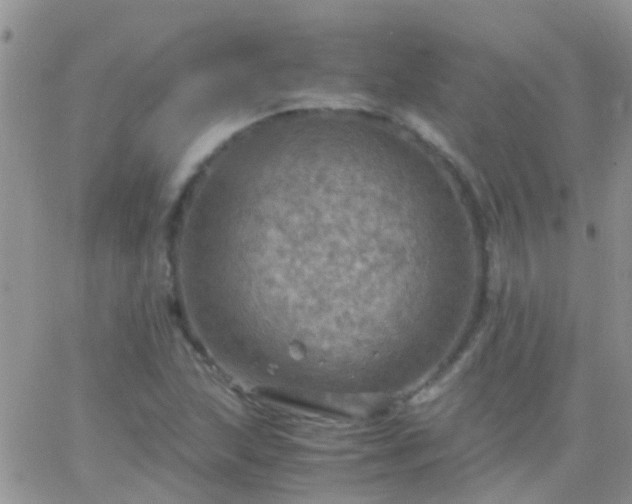 X0000065241215200602242016