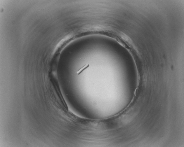 X0000065241218200602242016