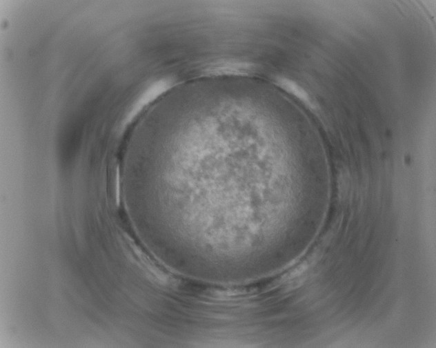 X0000065241219200602242016