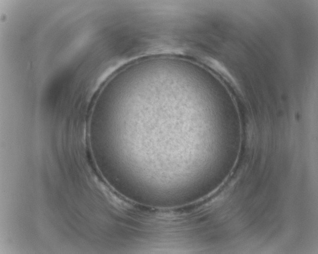 X0000065241220200602242016