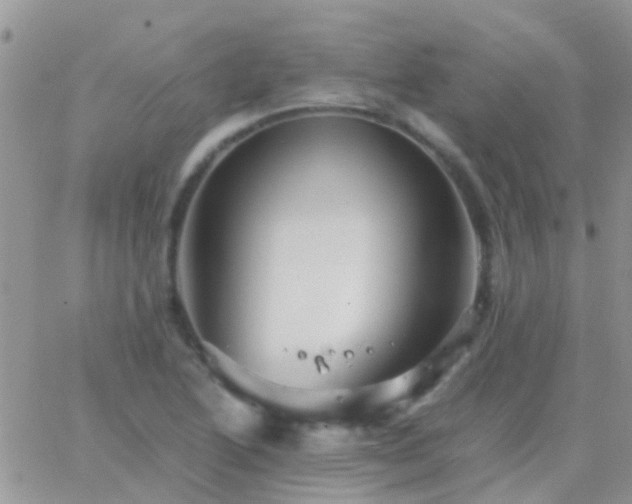 X0000065241222200602242016