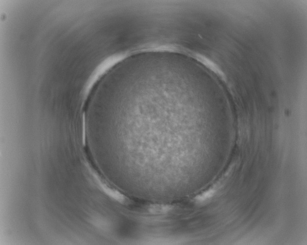 X0000065241223200602242016