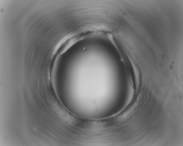 X0000065241226200602242016