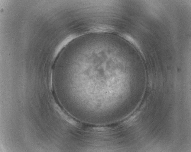 X0000065241227200602242016