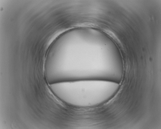 X0000065241228200602242016