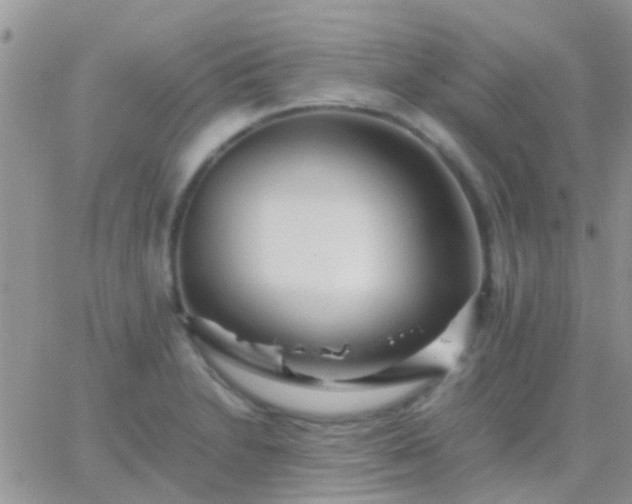 X0000065241230200602242016